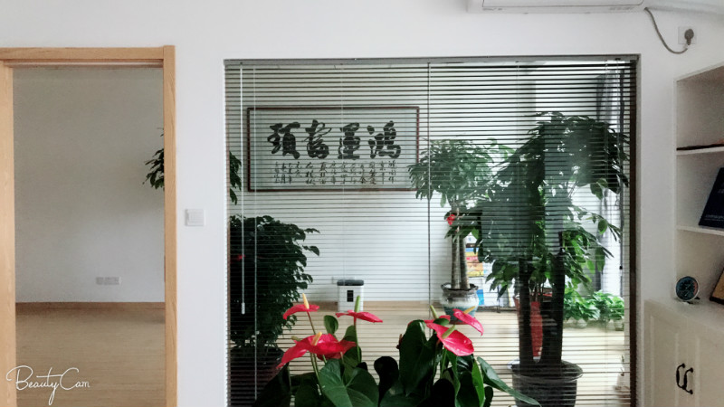 ��˾����